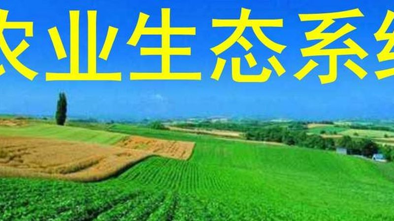 现代农业产业园建设：五大注意事项，助力农业转型升级