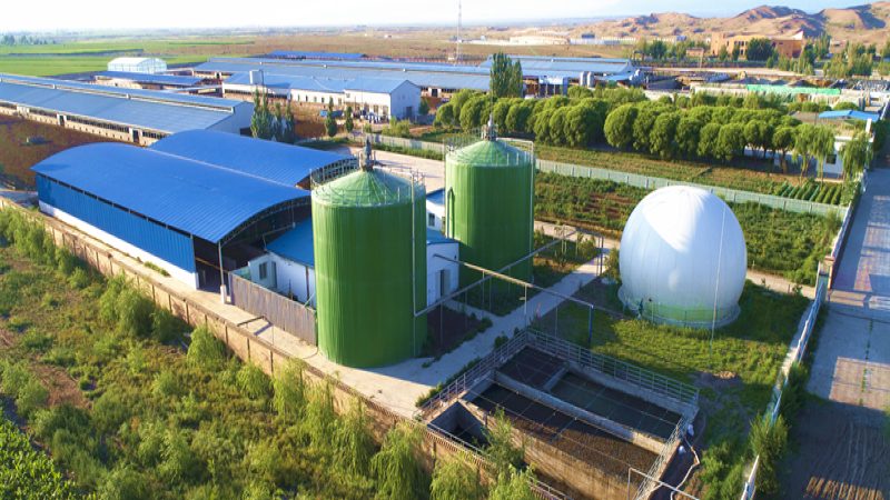 农业合作社与家庭农场税收差异解析