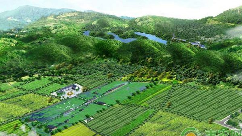 农业项目生产设备操作规范：保障效率与安全的要点解析