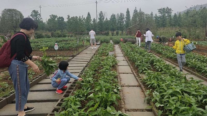 农产品批发商进货物流降本增效三步走
