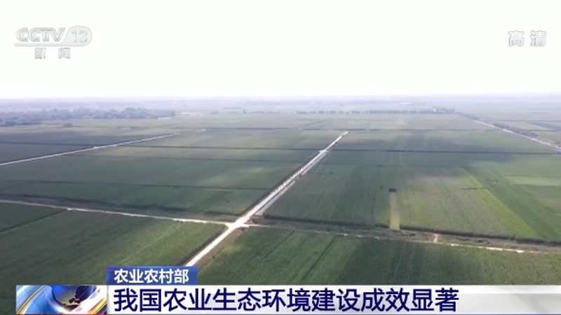盆栽水果，如何在阳台绽放丰收之果？**