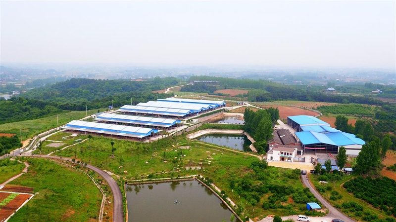 成都农资批发价格表背后的市场逻辑