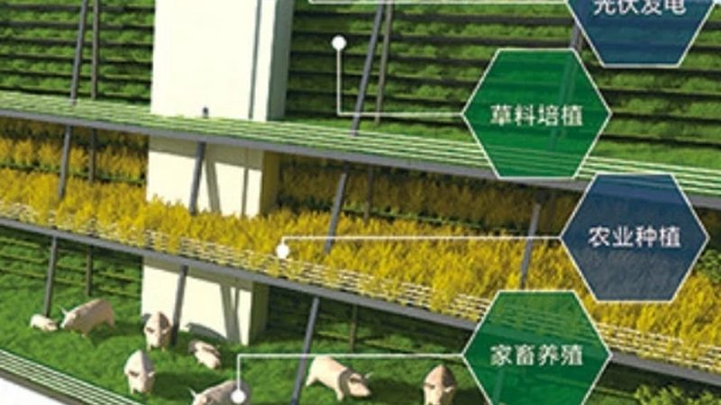 水果种植合作社电商渠道年收入
