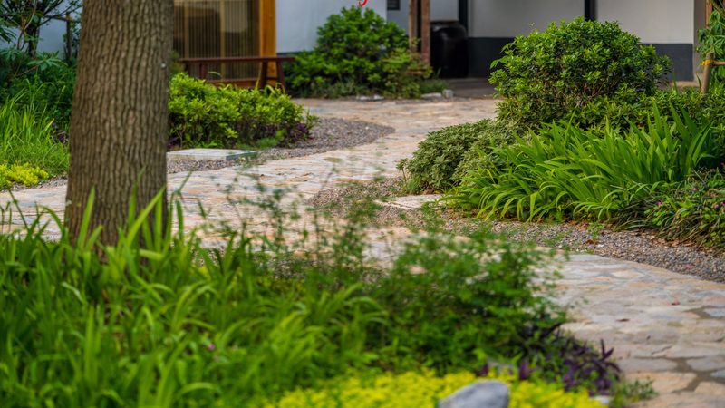 规模化种植定制方案