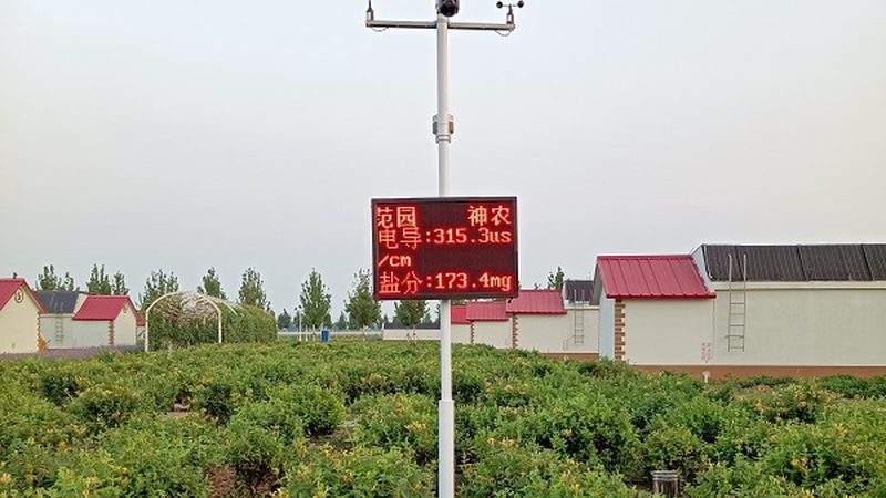 农产品直供排名背后的行业真相