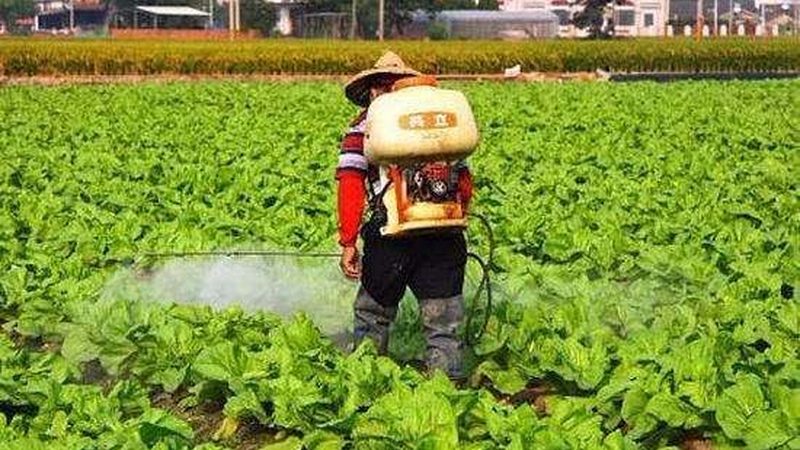 加盟水果种植，是赚是赔全看这一步