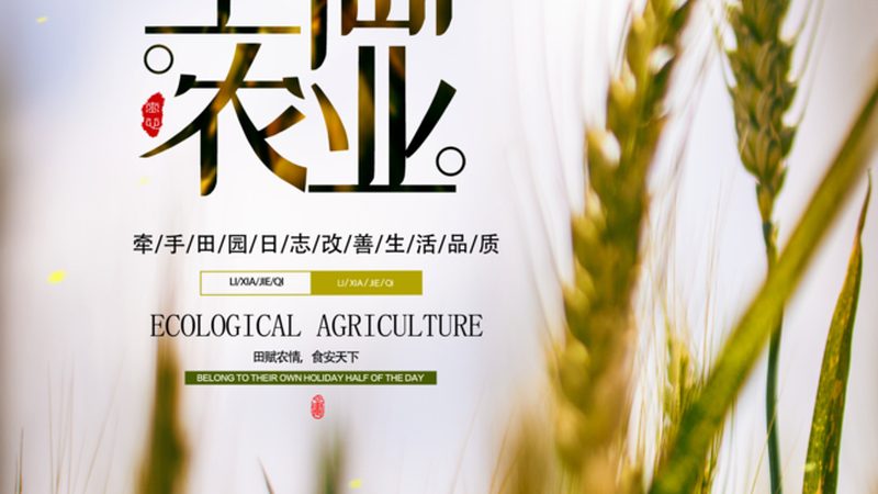 自己开店还是加盟农资店，先算清这笔账