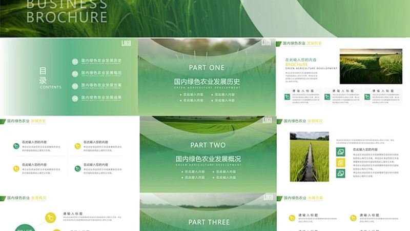 山东种粮大户的土地流转账本：价格波动背后藏着什么